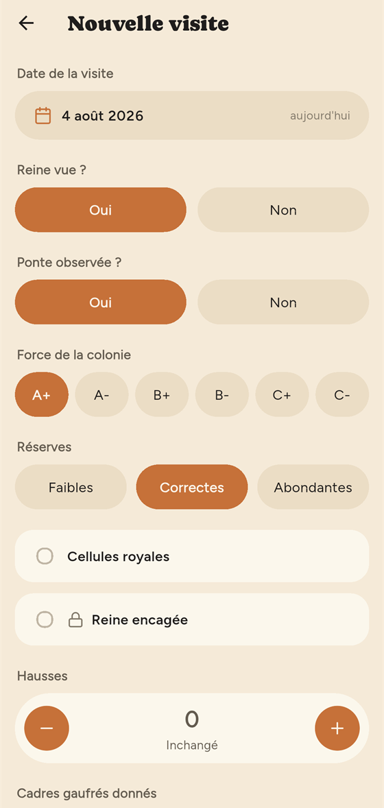 Saisie d'une visite : reine vue, ponte observée, force de la colonie, réserves, cellules royales et interventions.